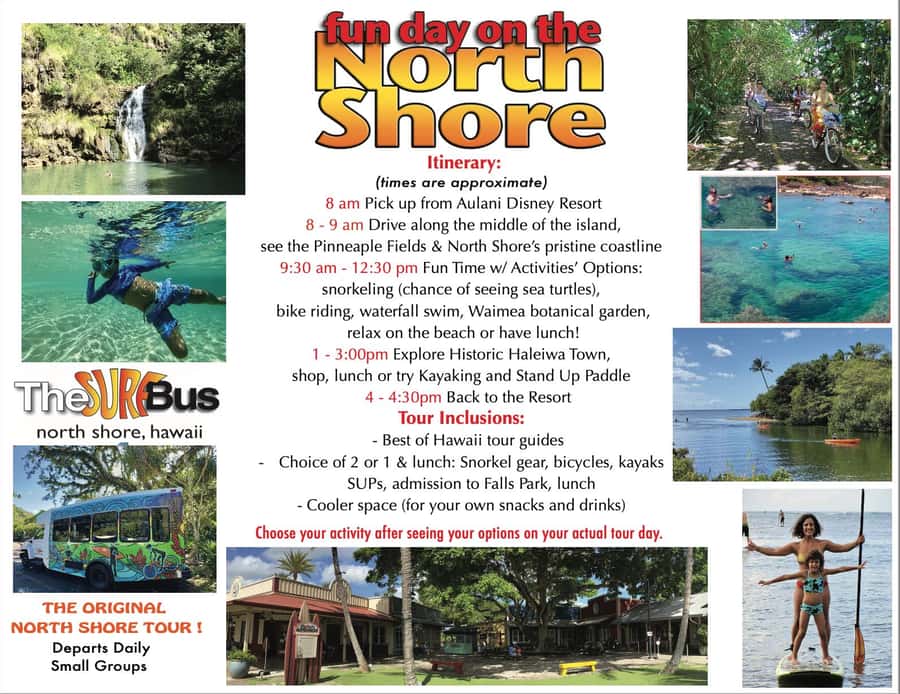 02/03 - 02/09 - Watch Pipeline Surf Challenge ! - Is $167 a fair price?