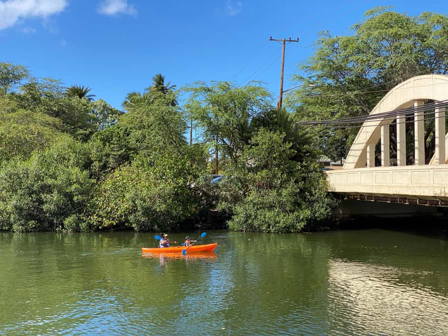 02/03 - 02/09 - Watch Pipeline Surf Challenge ! - Macadamia nuts and the Koolau Range