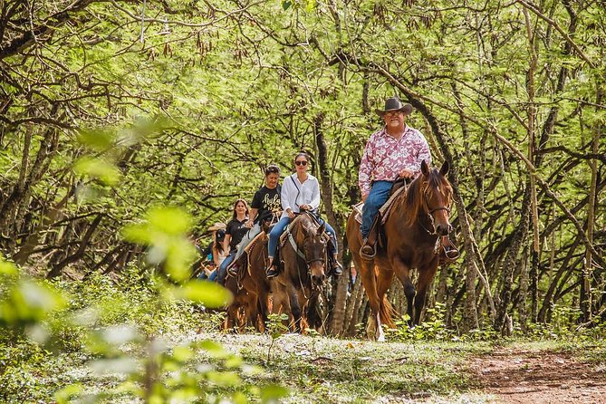 1 Hour Scenic Horseback Ride - Key points to know before you book