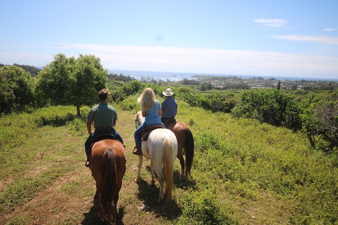 1 Hour Scenic Horseback Ride - Meeting the horses and getting ready