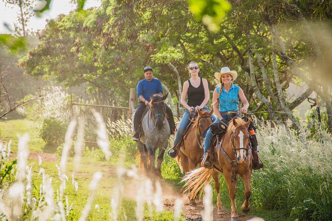 1 Hour Scenic Horseback Ride - The price, the drive, and the real value