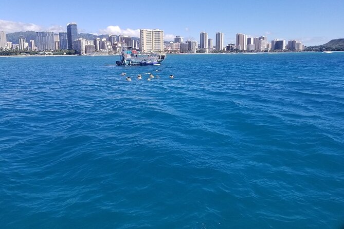 12pm Turtle Canyon Snorkel Adventure - Expect Turtles, Fish, and Changing Visibility
