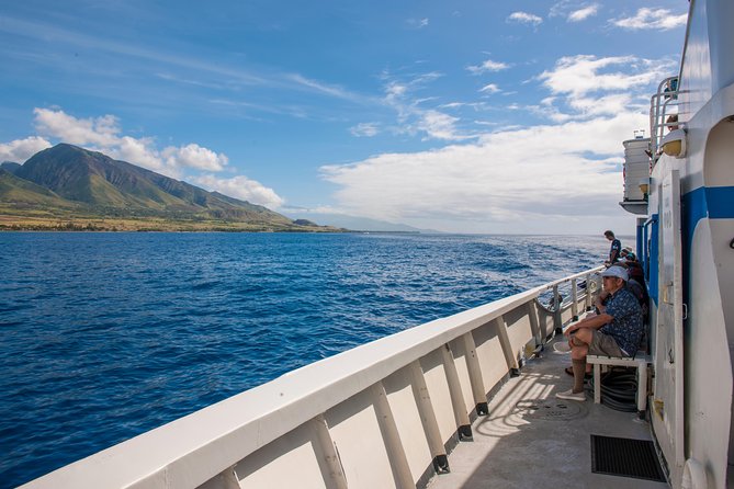 2-Hour Oahu Whale Watch from Ala Wai Harbor, Waikiki - The Boat, Seating, and Comfort