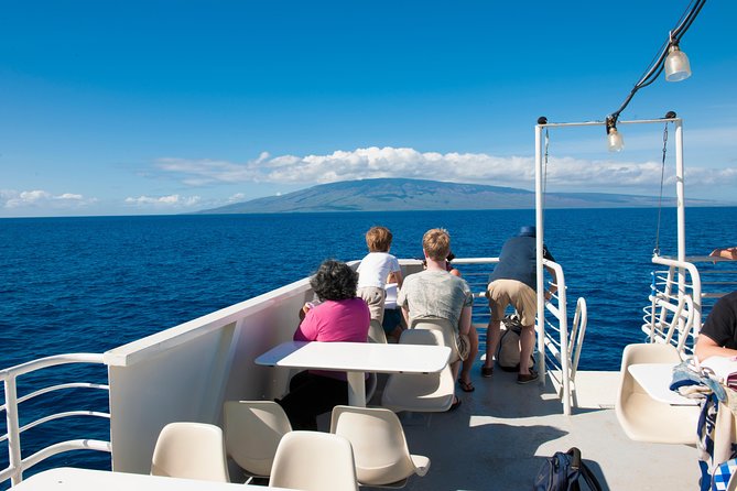 2-Hour Oahu Whale Watch from Ala Wai Harbor, Waikiki - Is $49.95 a Good Price?