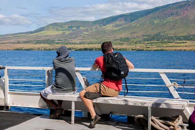 2-Hour Oahu Whale Watch from Ala Wai Harbor, Waikiki - Getting to Ala Wai Harbor Without Missing the Boat