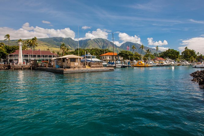 2-Hour Oahu Whale Watch from Ala Wai Harbor, Waikiki - The Crew Makes a Difference