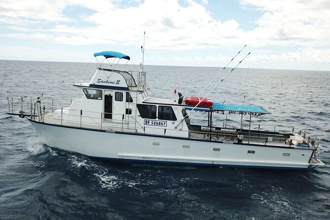 3-Hour Honolulu Bottom Fishing Adventure - What This Honolulu Fishing Trip Really Offers
