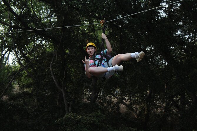 3 Zipline Adventure with Waikiki Transportation - What this one-hour Coral Crater adventure is really like