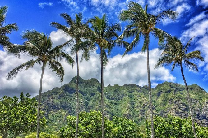 4 Hour Half Day Island Jeep Tour - Sandy Beach Park: a quick coastal pause