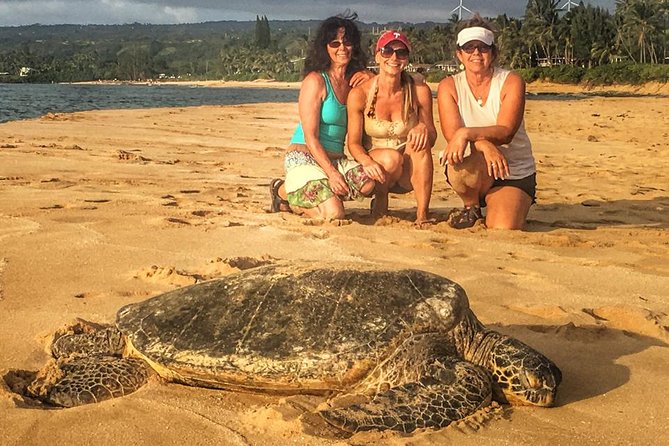 8 Hour Circle Island Jeep Tour - Windward Oahu, from Kaneohe Bay to Kualoa