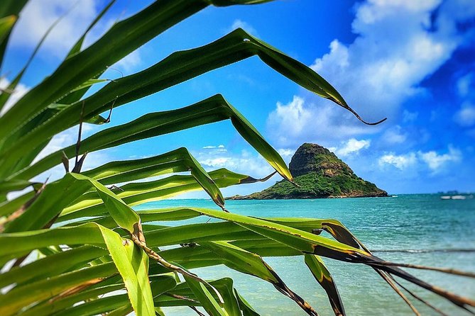 8 Hour Circle Island Jeep Tour - The Jeep ride and physical demands