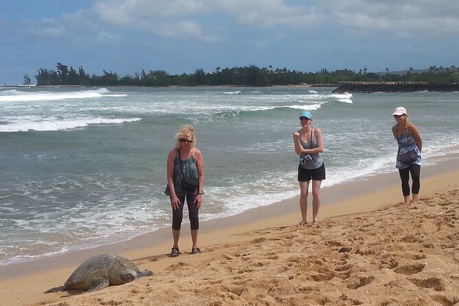 8-Hour Luxury Four Door Convertible Tour of Oahu's South and North Shores - Turtle Bay, Laie Point, and the east side