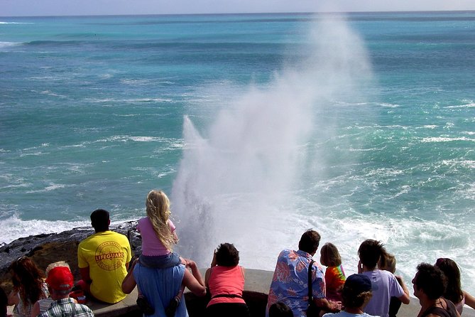 All Inclusive Ultimate Circle Island Tour, Waimea Falls & Lunch - Mokoli’i Island and Kahana Bay