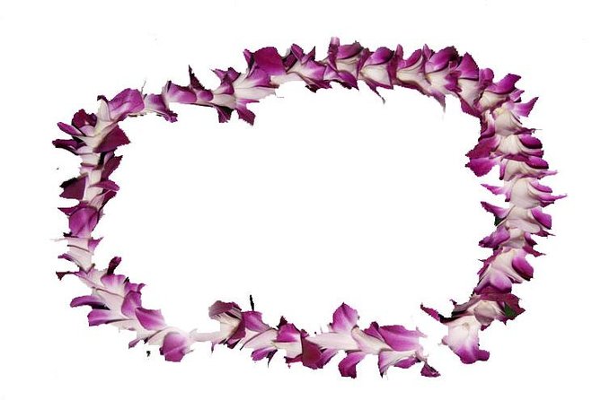 Aloha Lei Greeting on Arrival in Honolulu - Key points to know before booking