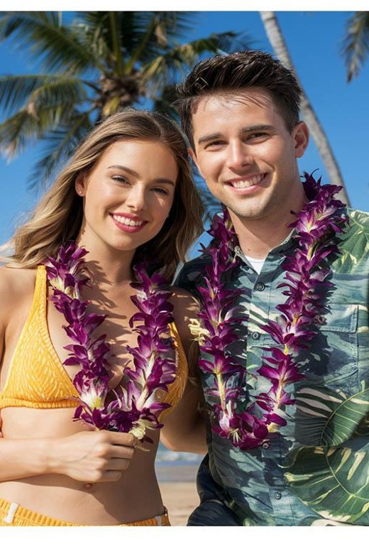 Arrival Lei Greeting --HNL to Waikiki Private Transfer - A Smooth First Hour in Hawaii