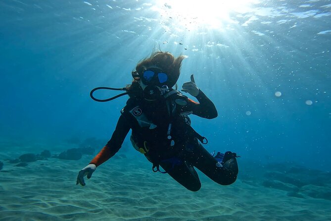 Beginner Scuba Diving Experience with Video Package in Honolulu - Why a four-person group makes a difference