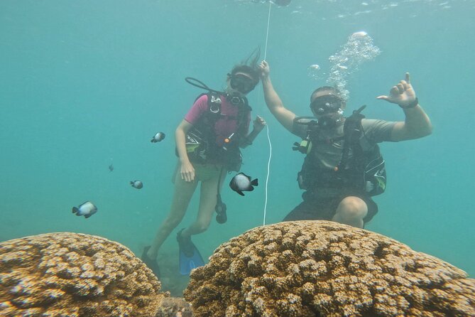 Beginner Scuba Diving Experience with Video Package in Honolulu - What the $77 price includes