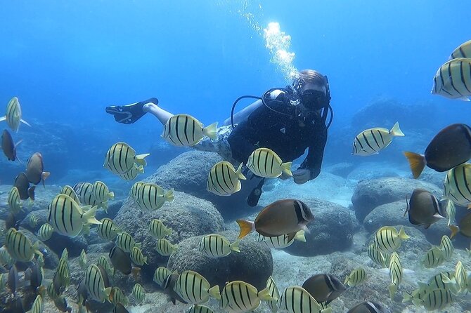 Beginner Scuba Diving Experience with Video Package in Honolulu - What happens during the 30-minute check-in and briefing