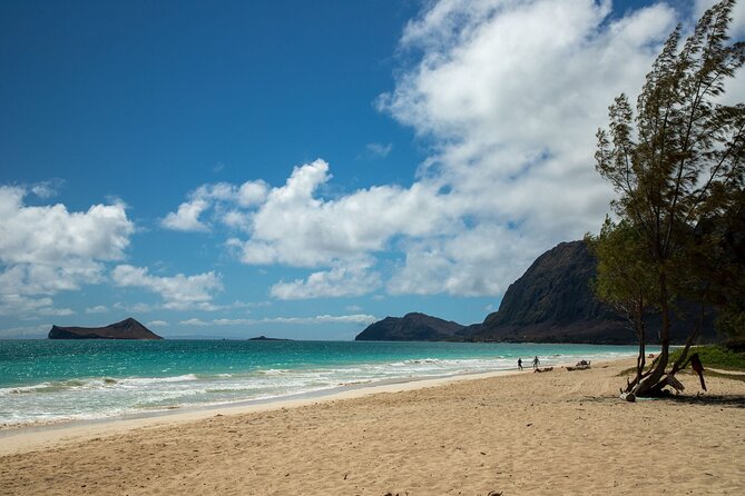 Best Of Oahu: Grand Circle Island Small Group Tour From Waikiki - North Shore beaches and Haleiwa