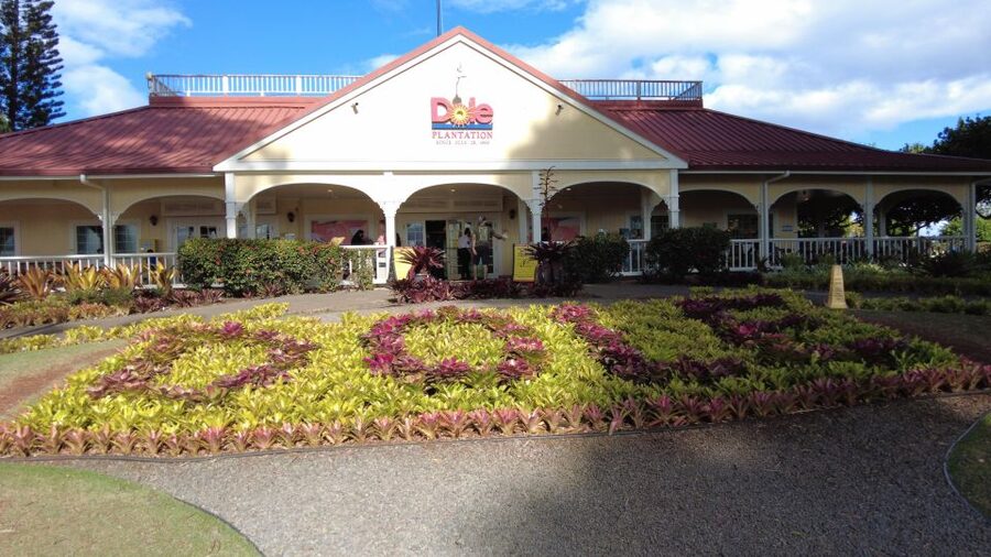 Best of Oahu in One Day - Why a private Oahu day makes sense
