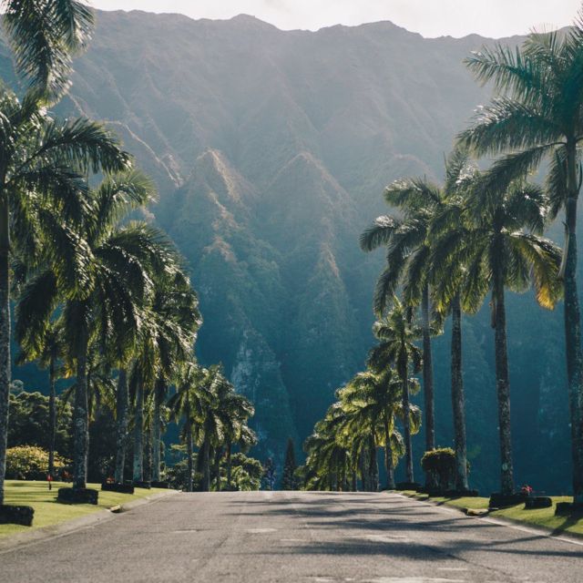 Best of Oahu in One Day - What the private vehicle changes