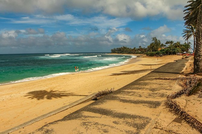 Best of Oahu: Pearl Harbor & Oahu Circle Island Tour from Waikiki - Macadamia samples at Tropical Farms
