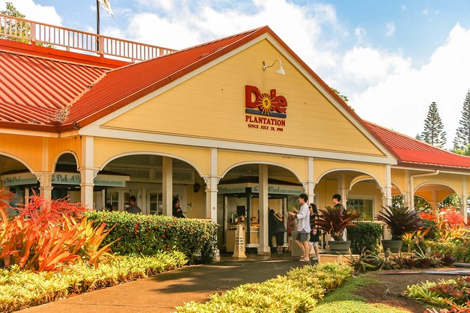 Best of Oahu: Pearl Harbor & Oahu Circle Island Tour from Waikiki - Historic Honolulu from the vehicle