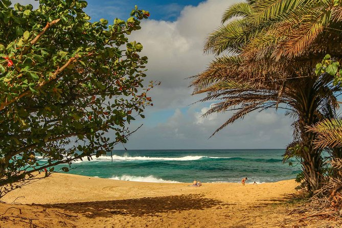 Best of Oahu: Pearl Harbor & Oahu Circle Island Tour from Waikiki - The guide can make or break the day