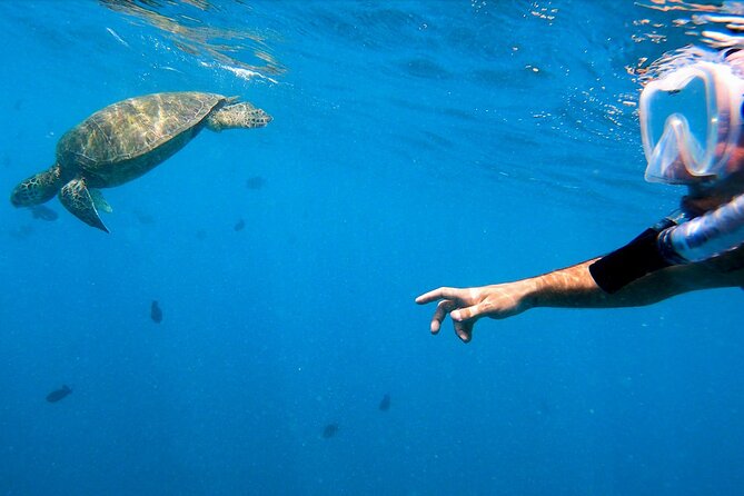 Best Waikiki Snorkel Tour: Guaranteed Turtles at Turtle Canyon - The boat ride back to Honolulu