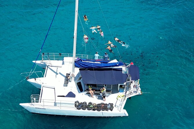 Best Waikiki Snorkel Tour: Guaranteed Turtles at Turtle Canyon - What the Turtle Canyon swim is really like
