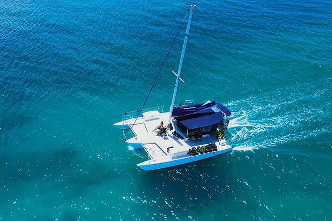 Best Waikiki Whale Watching in Honolulu: Whales Guaranteed - The crew makes the difference