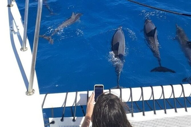 Best Waikiki Whale Watching in Honolulu: Whales Guaranteed - Food, drinks, phones, and comfort