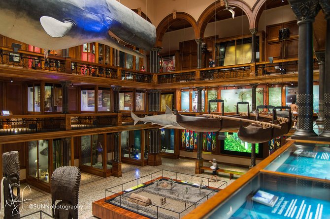 Bishop Museum General Admission Ticket - Castle Memorial Building offers changing exhibits