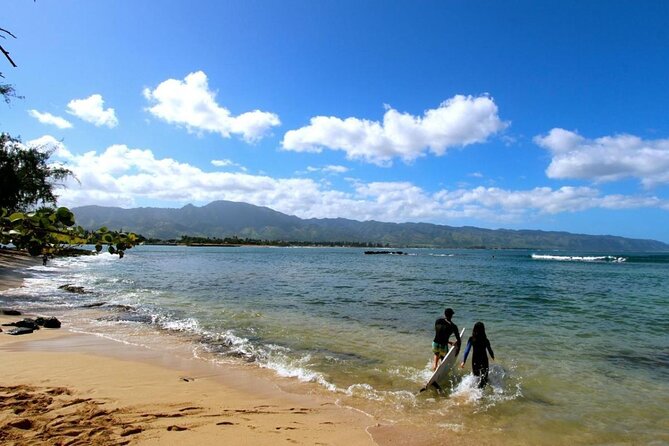Cage-Free Shark Swim from Oahu - Entering the water without a cage