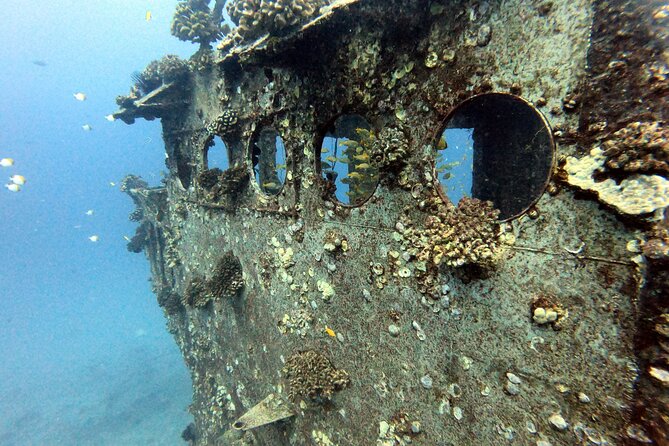 Certified Diver: 2-Tank Deep Wreck and Shallow Reef Dive Off Oahu - Two South Shore sites in one morning