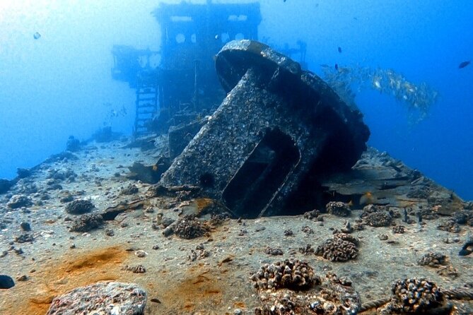 Certified Diver: 2-Tank Deep Wreck and Shallow Reef Dive Off Oahu - The shallow reef gives you more time to look