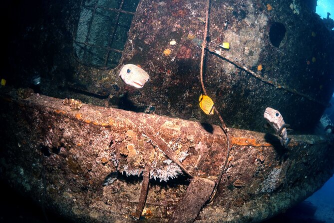Certified Diver: 2-Tank Deep Wreck and Shallow Reef Dive Off Oahu - What the boat and crew add to the experience