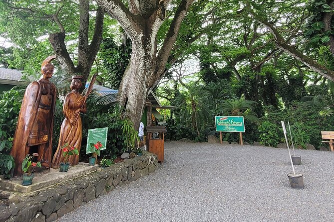 Circle Island 8hr Private Small Group Tour - Key points to know before you book