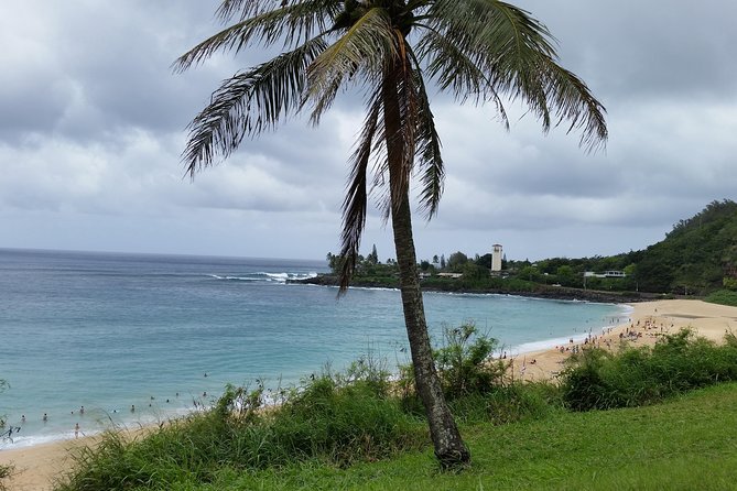 Circle Island 8hr Private Small Group Tour - Why this private Oahu tour works
