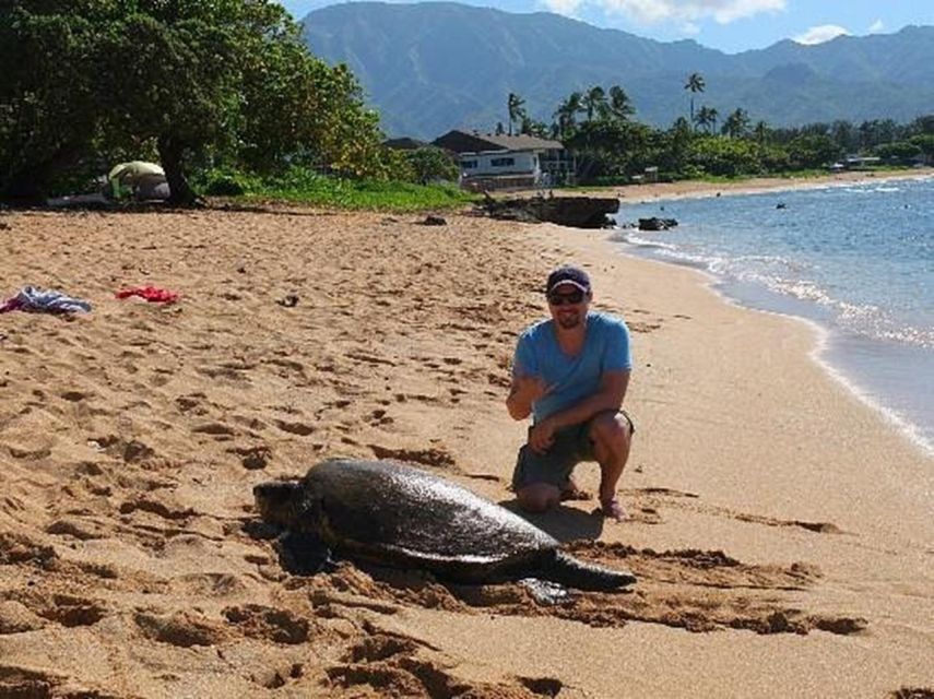 Circle Island: Swim with Turtles and Explore Paradise Oahu - Guides, vehicles, and the feel of the day