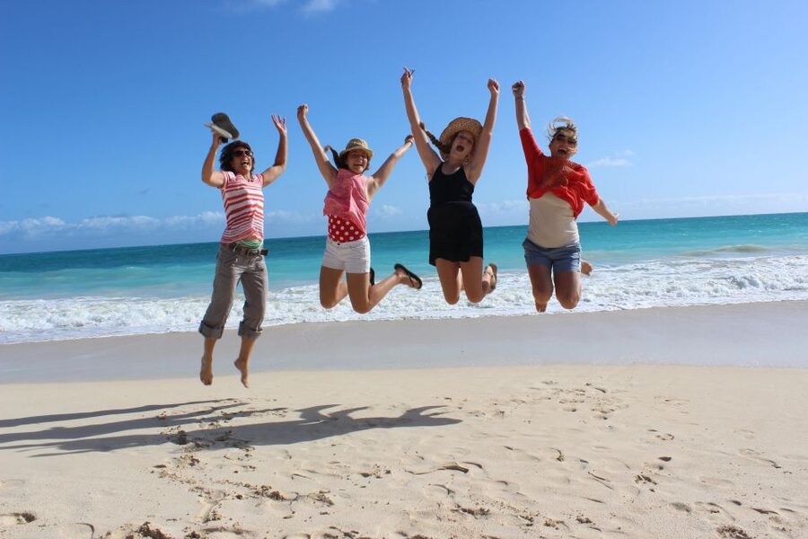 Circle Island: Swim with Turtles and Explore Paradise Oahu - Why the turtle swim gives this day its purpose
