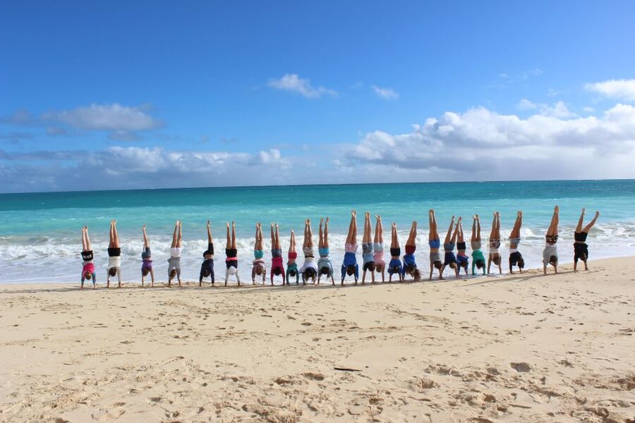 Circle Island: Swim with Turtles and Explore Paradise Oahu - Tropical Farms offers a taste of island agriculture