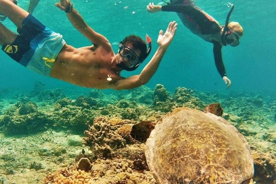 Circle Island: Swim with Turtles and Explore Paradise Oahu - Lunch at Fumi’s Kahuku Shrimp