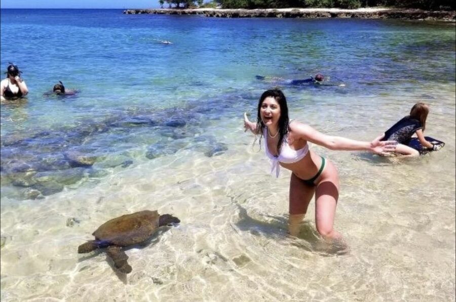 Circle Island: Swim with Turtles and Explore Paradise Oahu - Diamond Head and Halona Blowhole start the coastal tour
