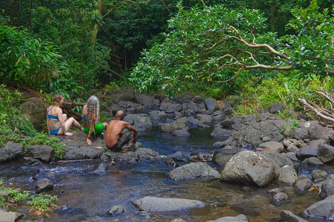 Custom Island Adventure Tours - A private Oahu day built around your interests