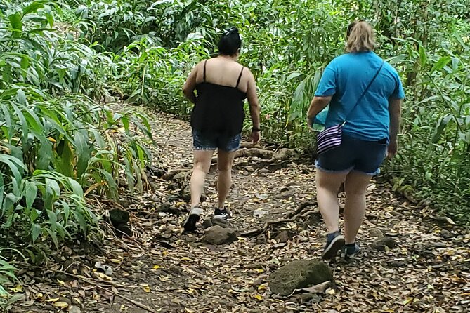 Custom Island Adventures Tour - How much of Oahu can fit into eight hours