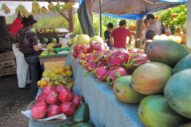 Custom Island Tour - for 4 to 5 people - up to 8 hours - Private tour of Oahu - Your guide can make or break the day