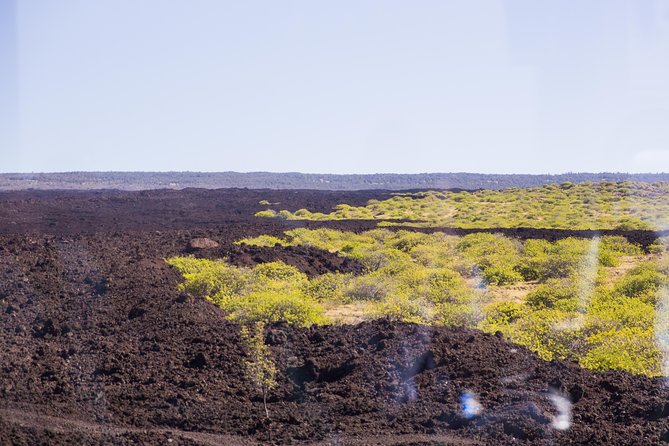 Day Trip from Oahu to Hilo: Volcano Adventure - Kilauea, steam vents, and the power under your feet