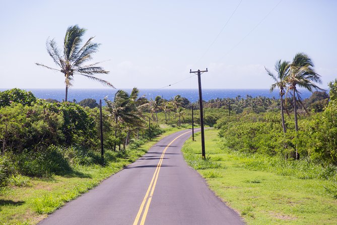 Day Trip from Oahu to Hilo: Volcano Adventure - Chain of Craters Road shows the Big Island in motion