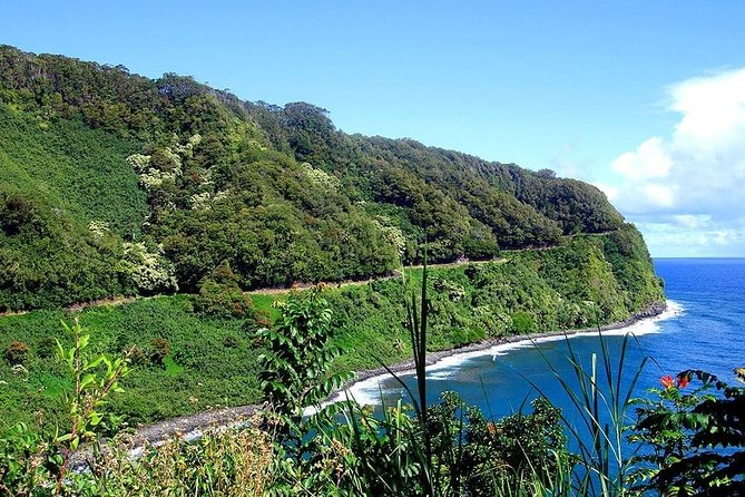 Day Trip from Oahu to Maui: Road to Hana Adventure - Your guide can shape the entire experience